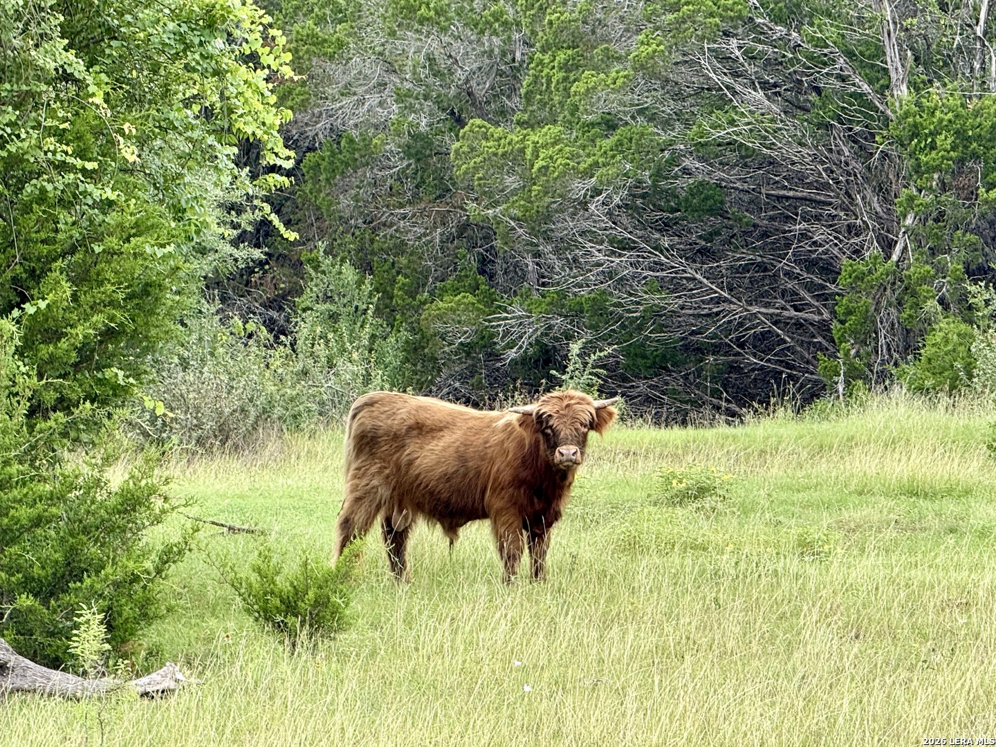 2371 #B Rr 165 Dripping Springs TX 78620