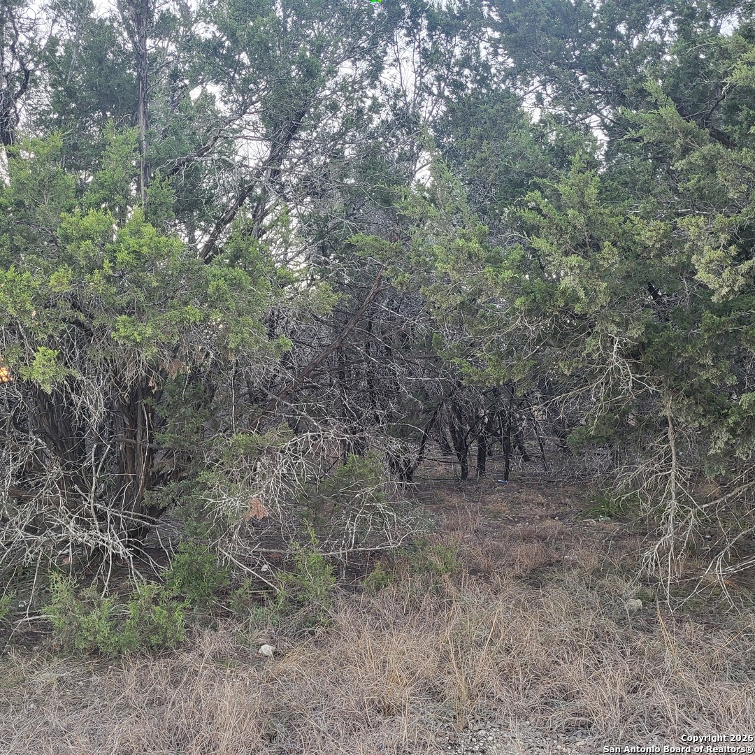 0 Tbd (Oak Ridge - Lot 22) Spring Branch TX 78070
