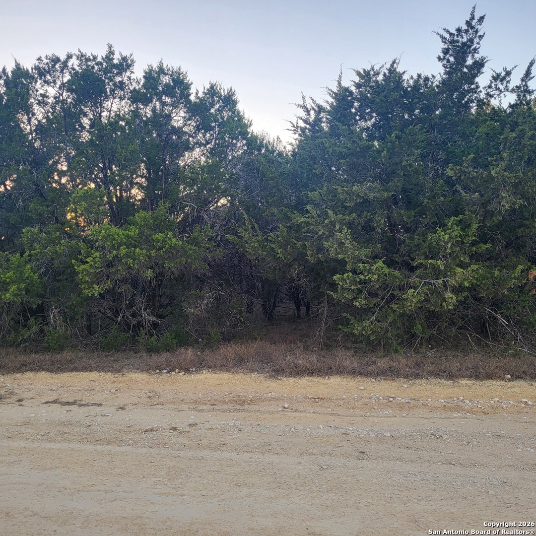 0 Tbd (Oak Ridge - Lot 22) Spring Branch TX 78070