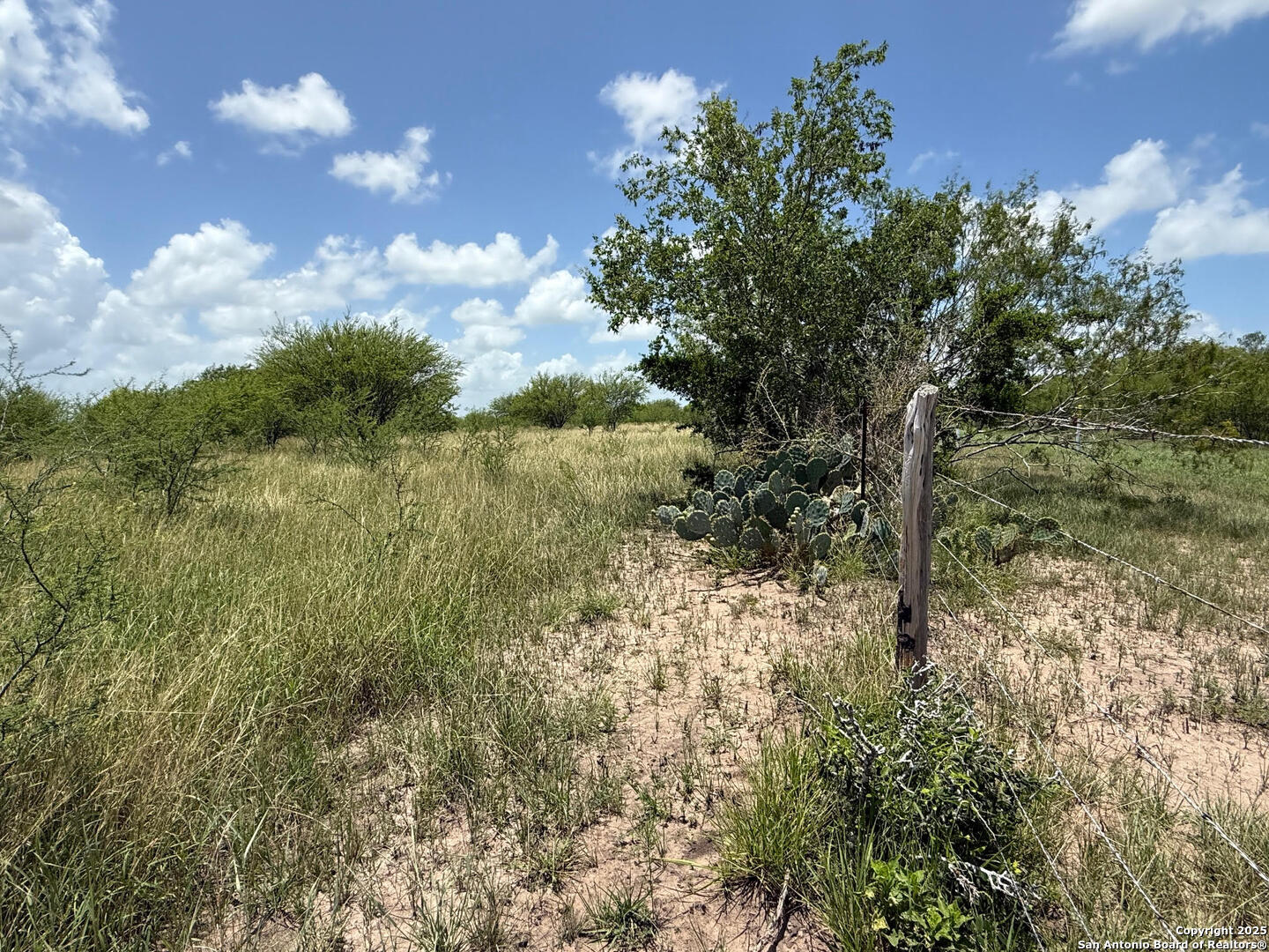 Tbd 10+/- Acres Cr 158 Kenedy TX 78119