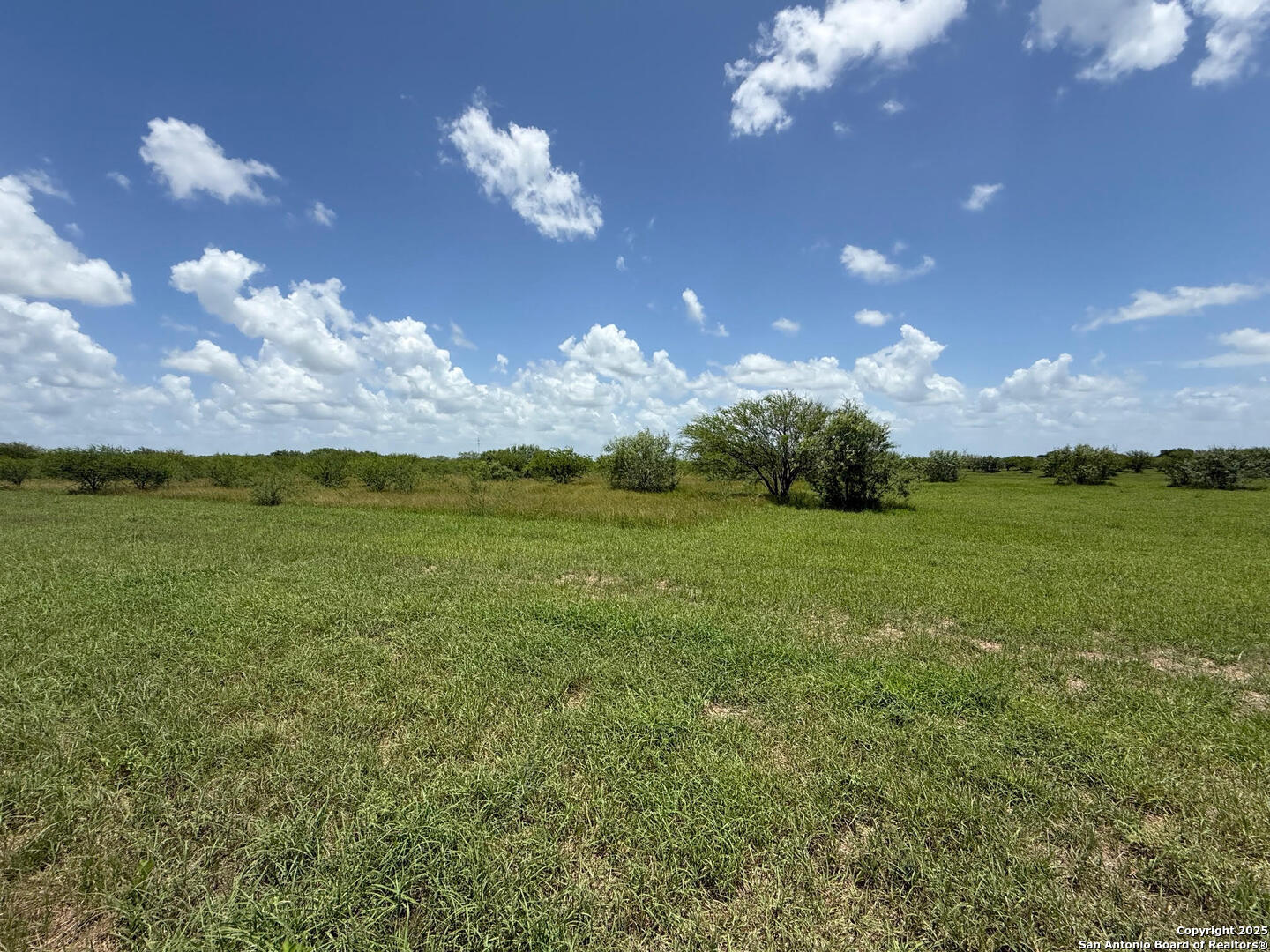 Tbd 10+/- Acres Cr 158 Kenedy TX 78119