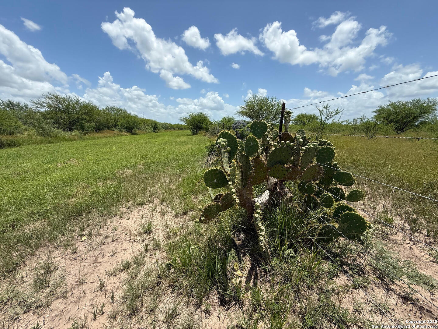 Tbd 10+/- Acres Cr 158 Kenedy TX 78119