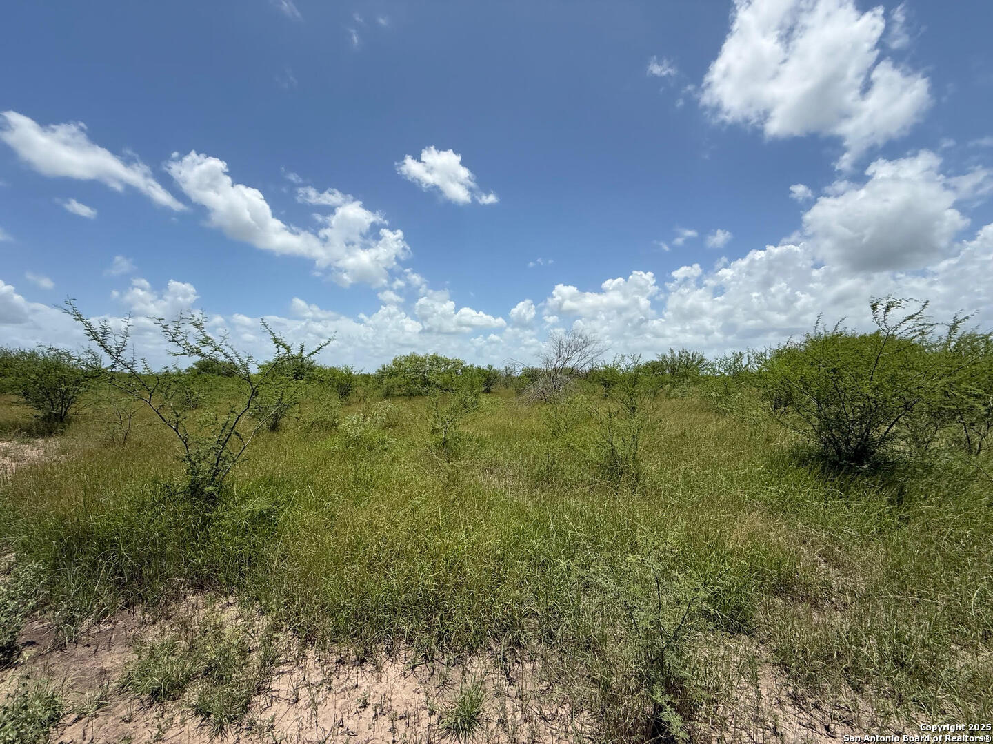 Tbd 10+/- Acres Cr 158 Kenedy TX 78119