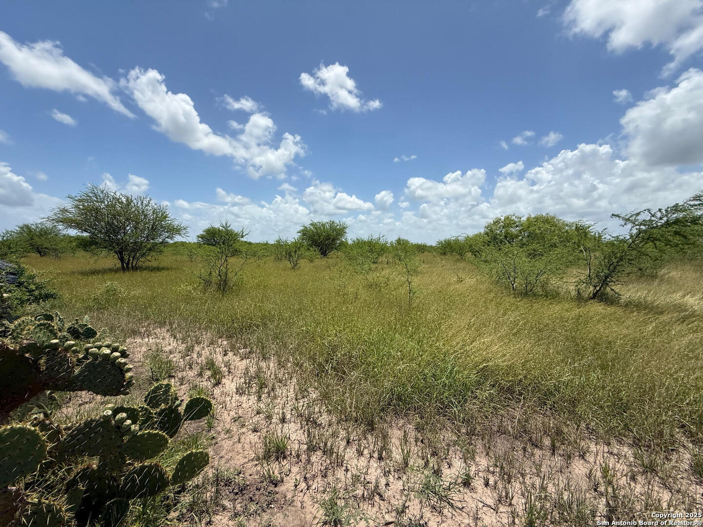Tbd 10+/- Acres Cr 158 Kenedy TX 78119