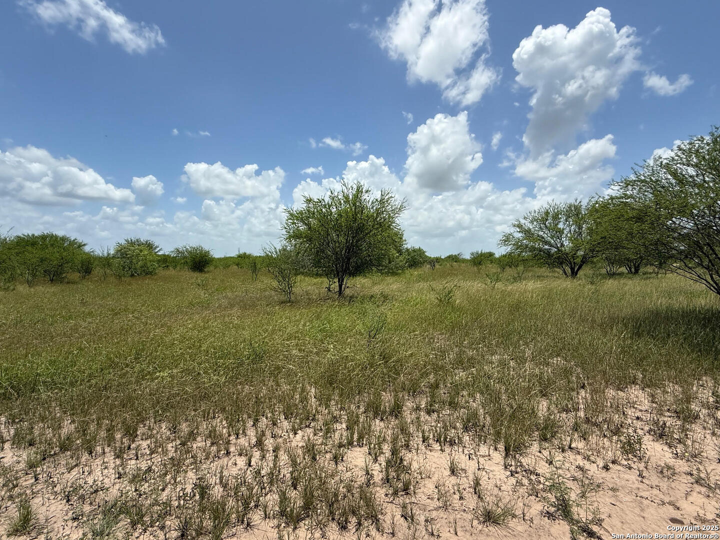 Tbd 10+/- Acres Cr 158 Kenedy TX 78119