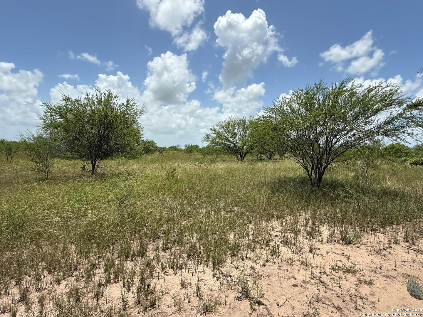 Tbd 10+/- Acres Cr 158 Kenedy TX 78119