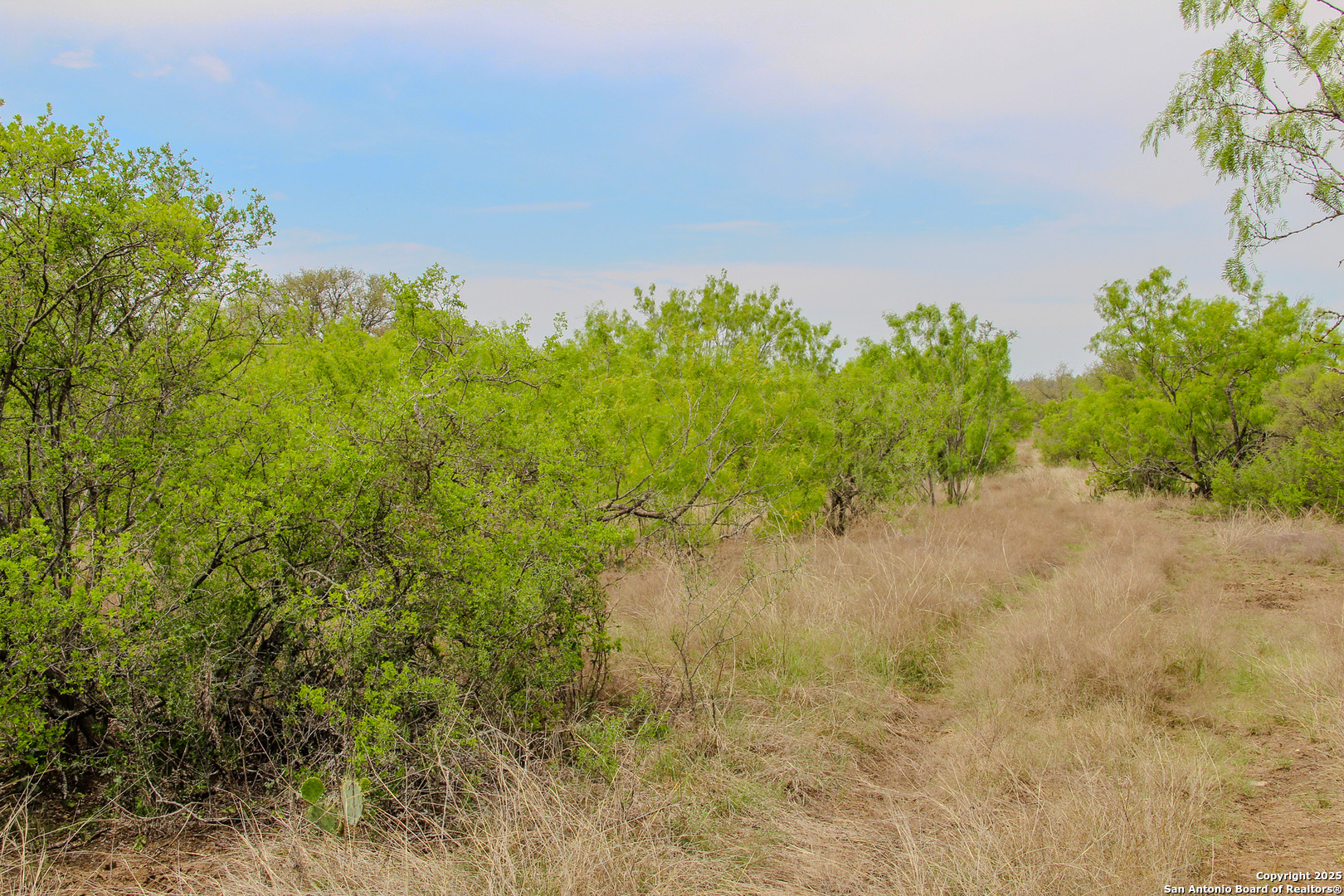 0000 County Road 341 Hondo TX 78861