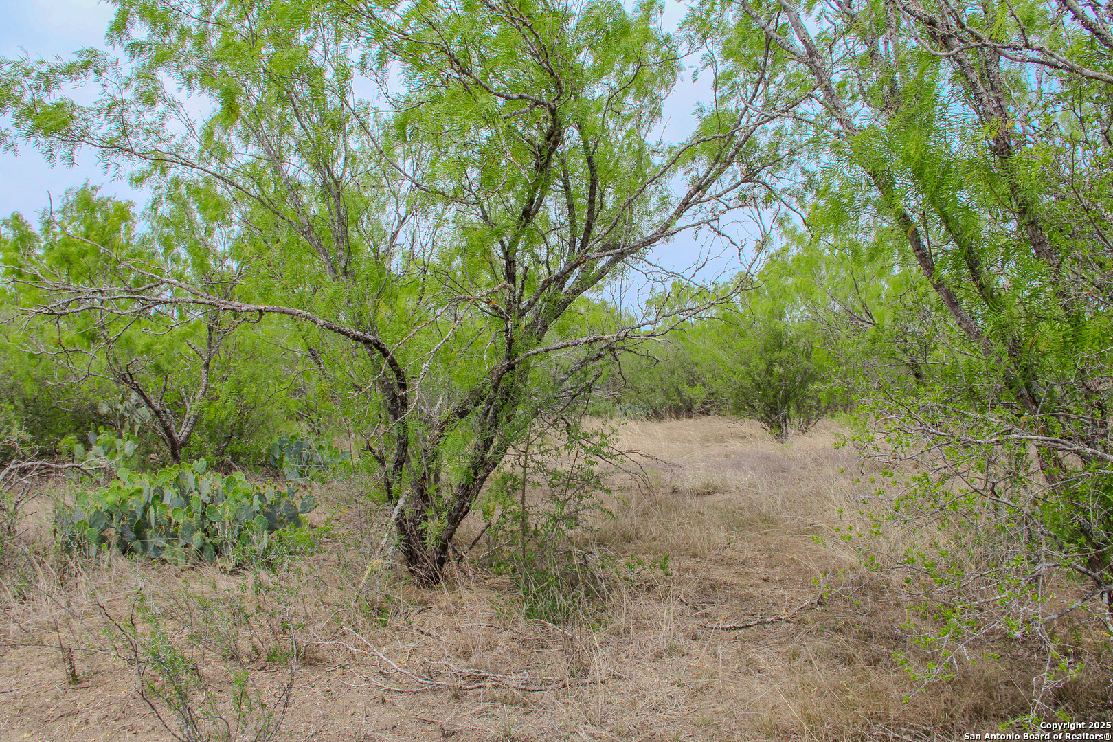 0000 County Road 341 Hondo TX 78861