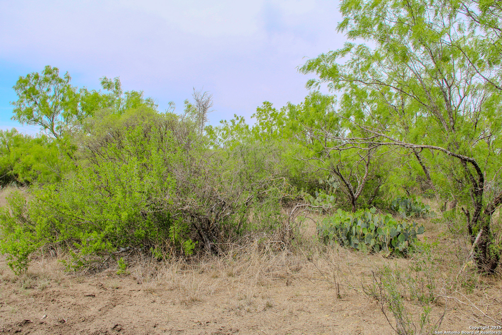 0000 County Road 341 Hondo TX 78861