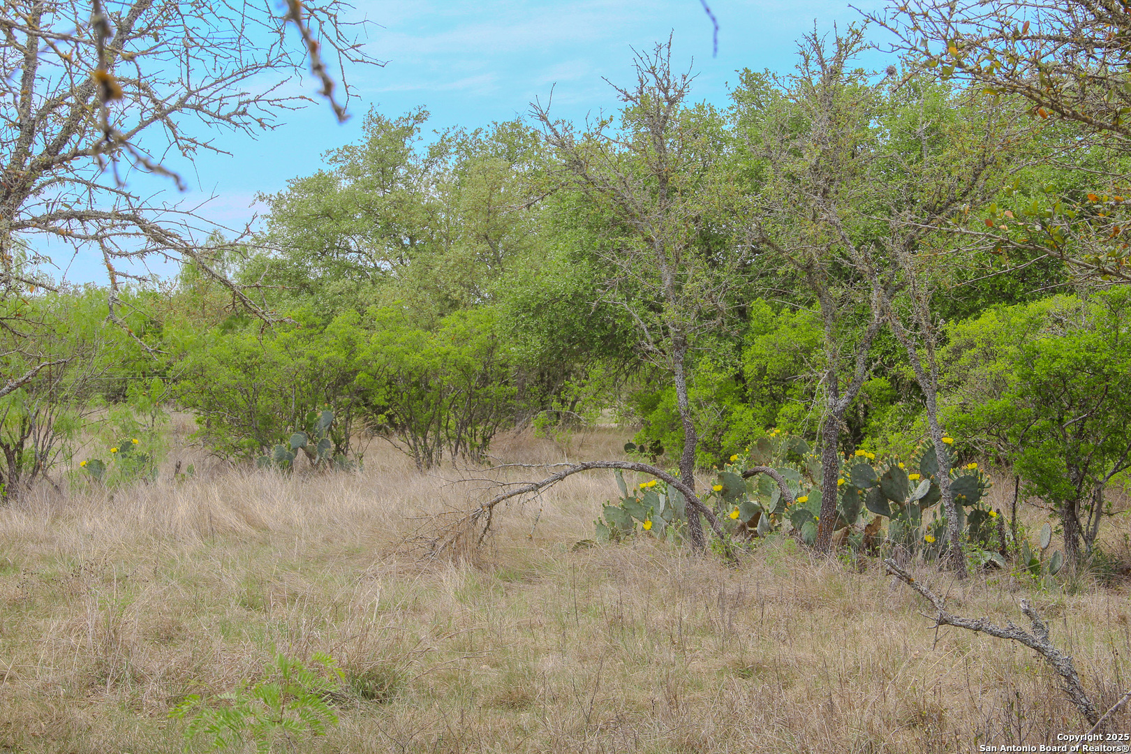 0000 County Road 341 Hondo TX 78861