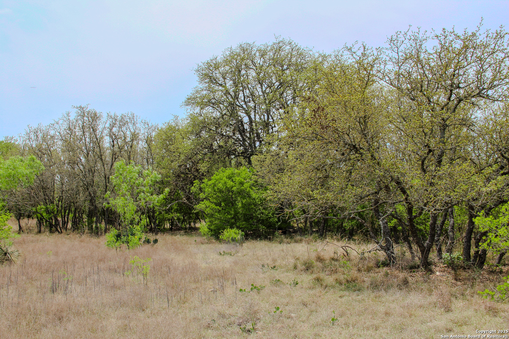 0000 County Road 341 Hondo TX 78861