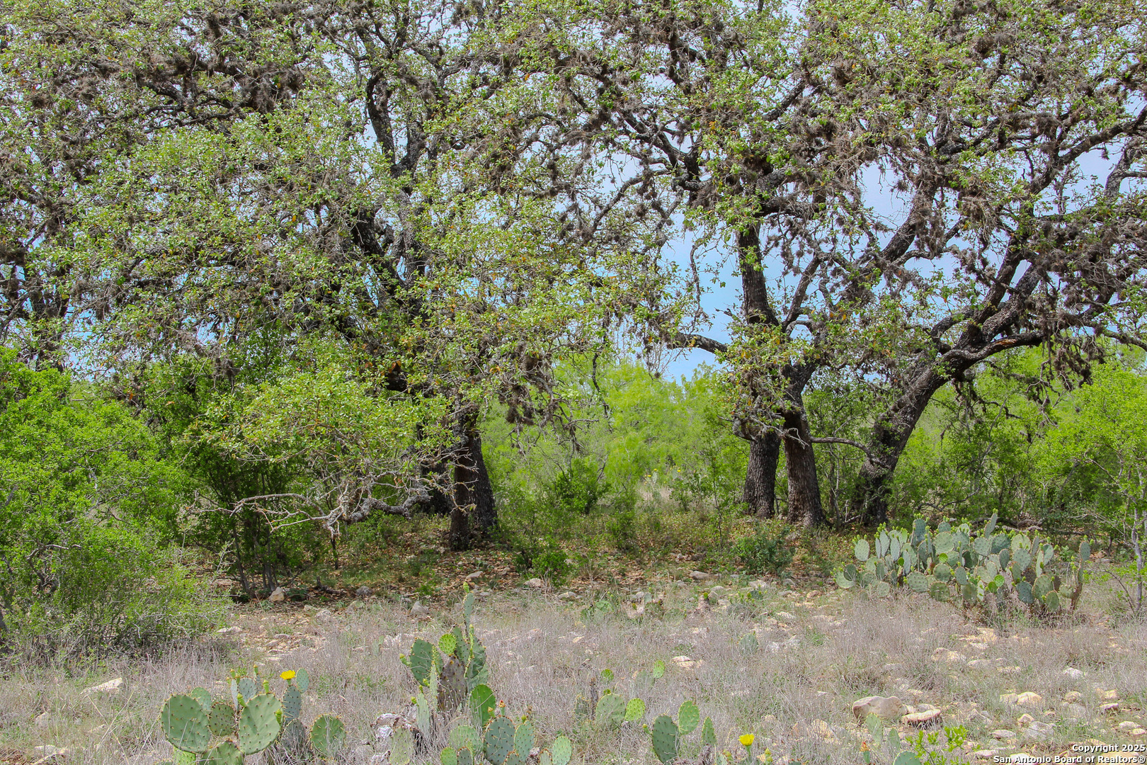 0000 County Road 341 Hondo TX 78861