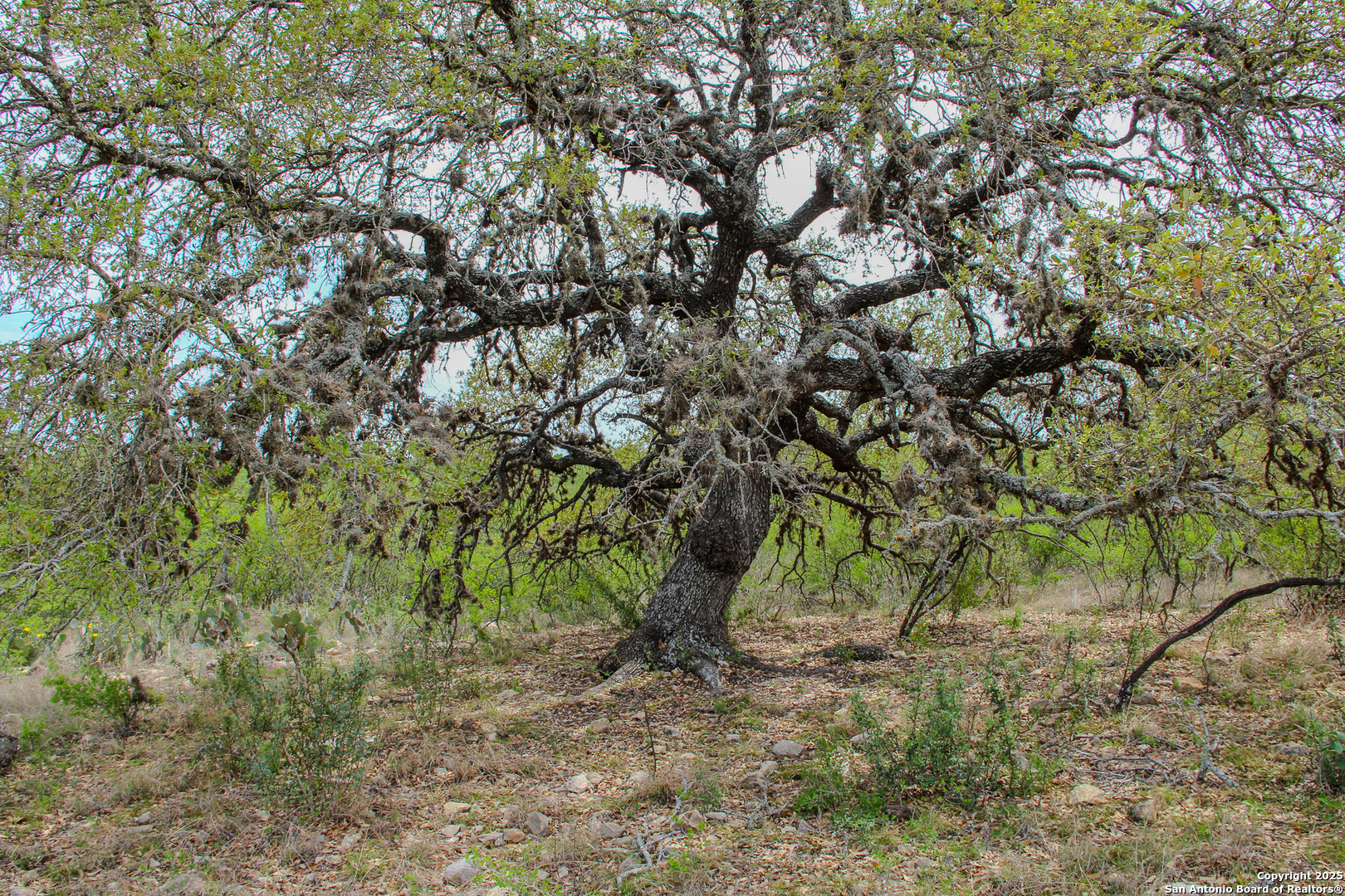 0000 County Road 341 Hondo TX 78861