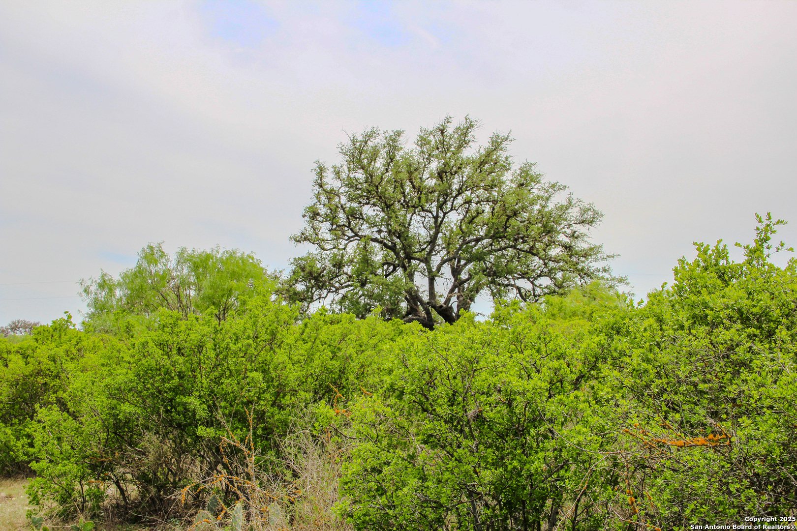 0000 County Road 341 Hondo TX 78861