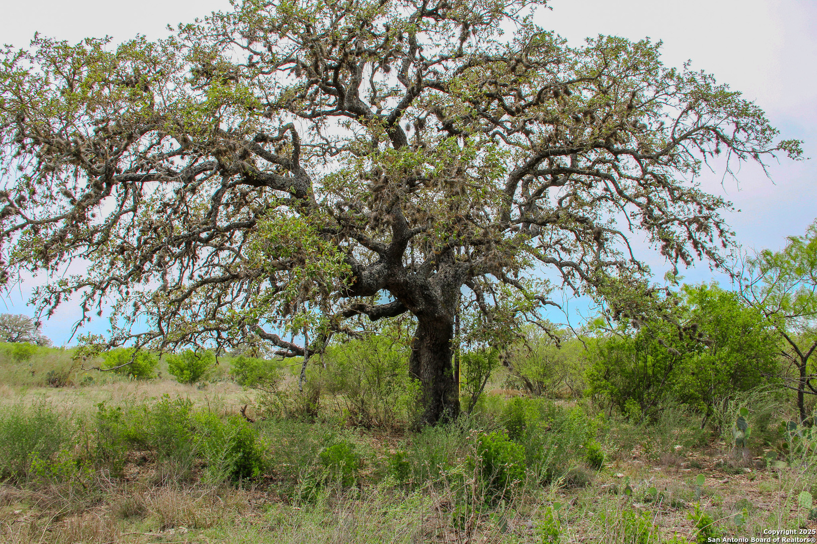0000 County Road 341 Hondo TX 78861