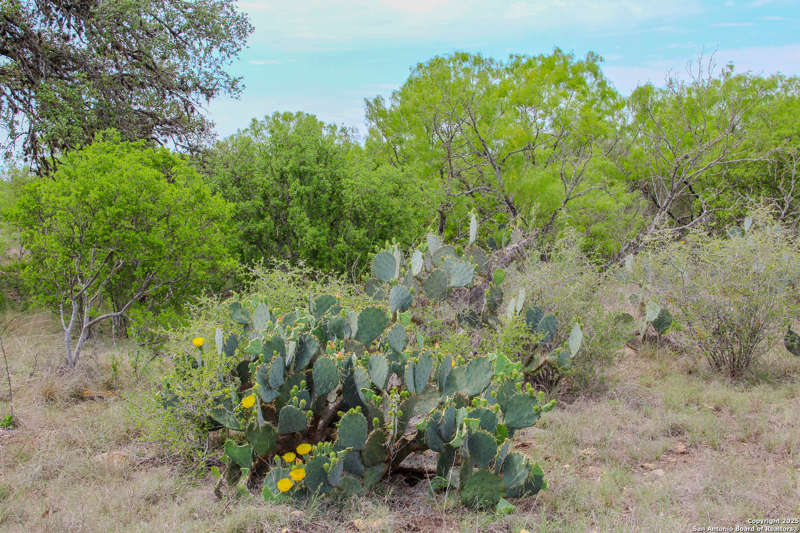 0000 County Road 341 Hondo TX 78861