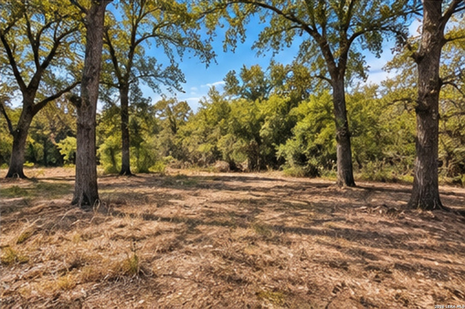 123 Oak Forest Court Cedar Creek TX 78612
