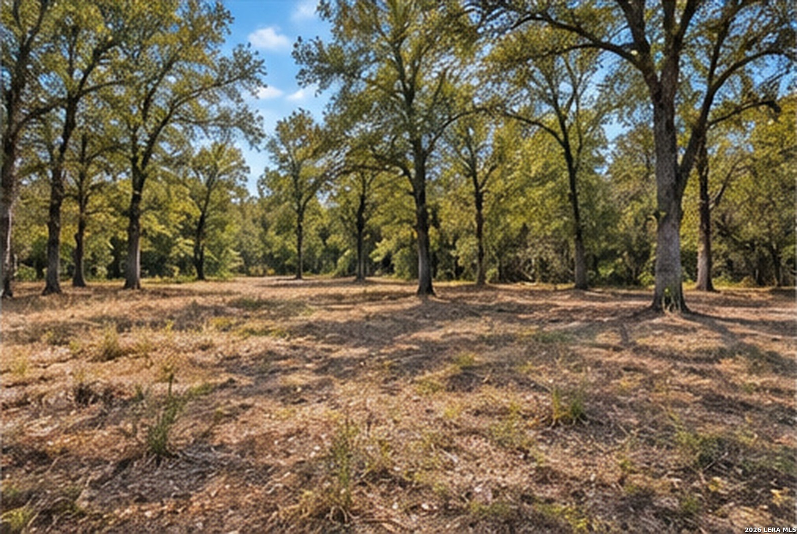123 Oak Forest Court Cedar Creek TX 78612