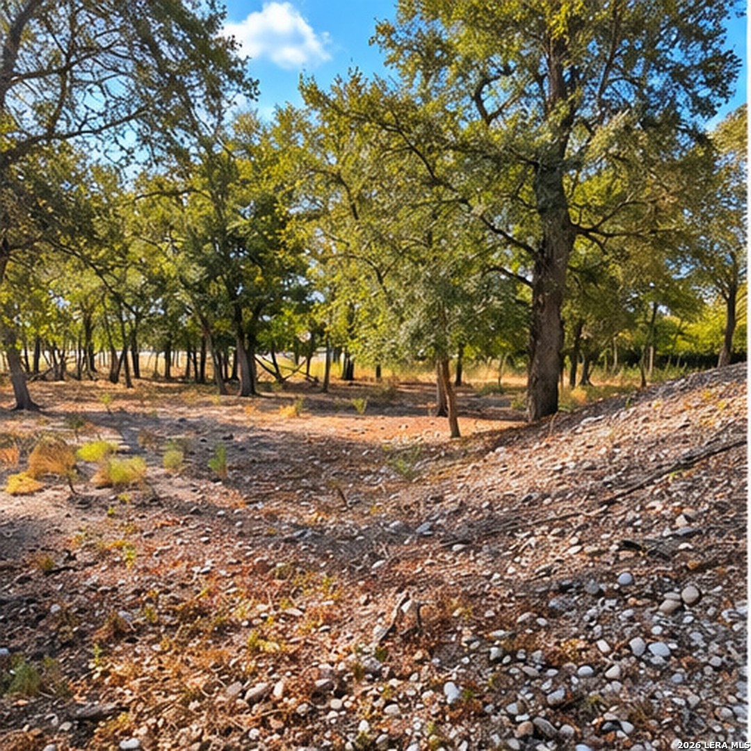 123 Oak Forest Court Cedar Creek TX 78612