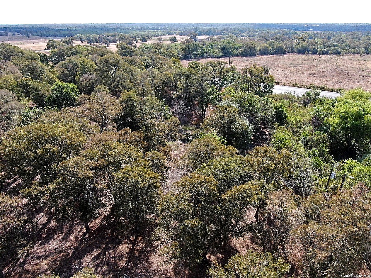123 Oak Forest Court Cedar Creek TX 78612