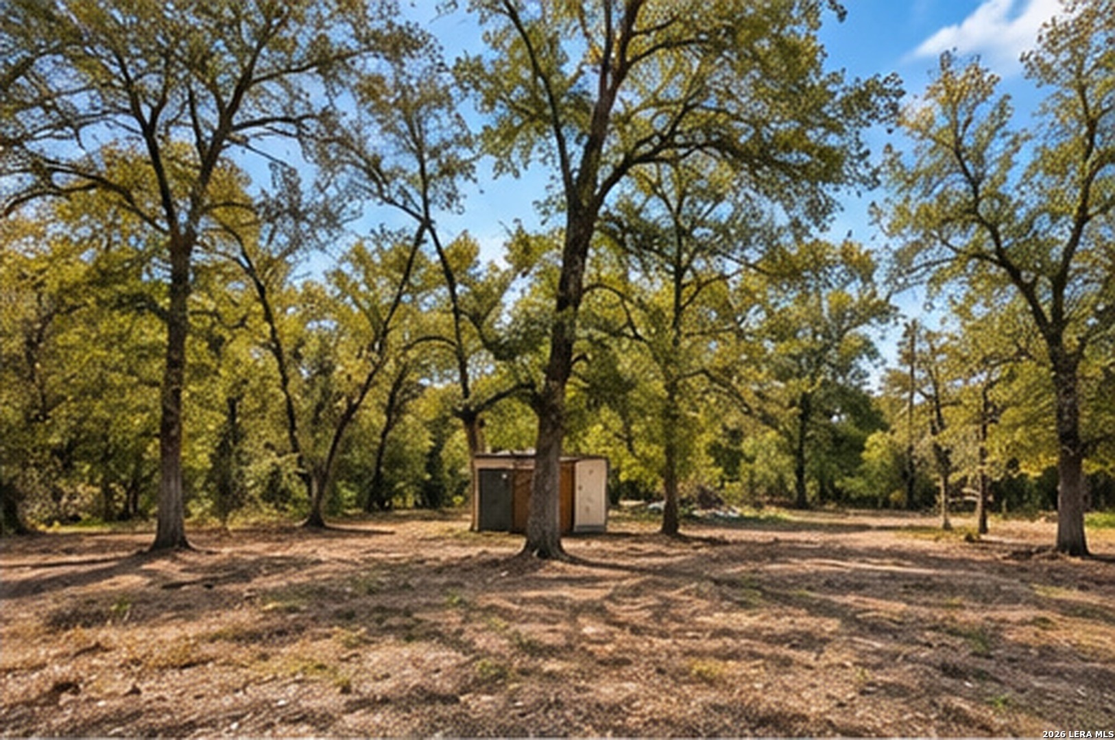123 Oak Forest Court Cedar Creek TX 78612