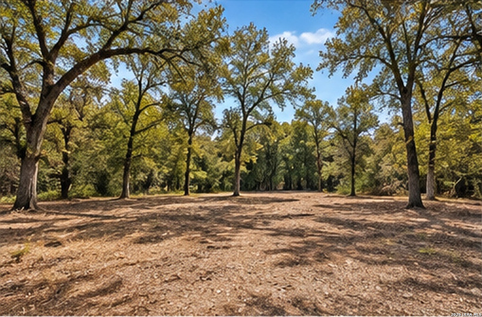 123 Oak Forest Court Cedar Creek TX 78612