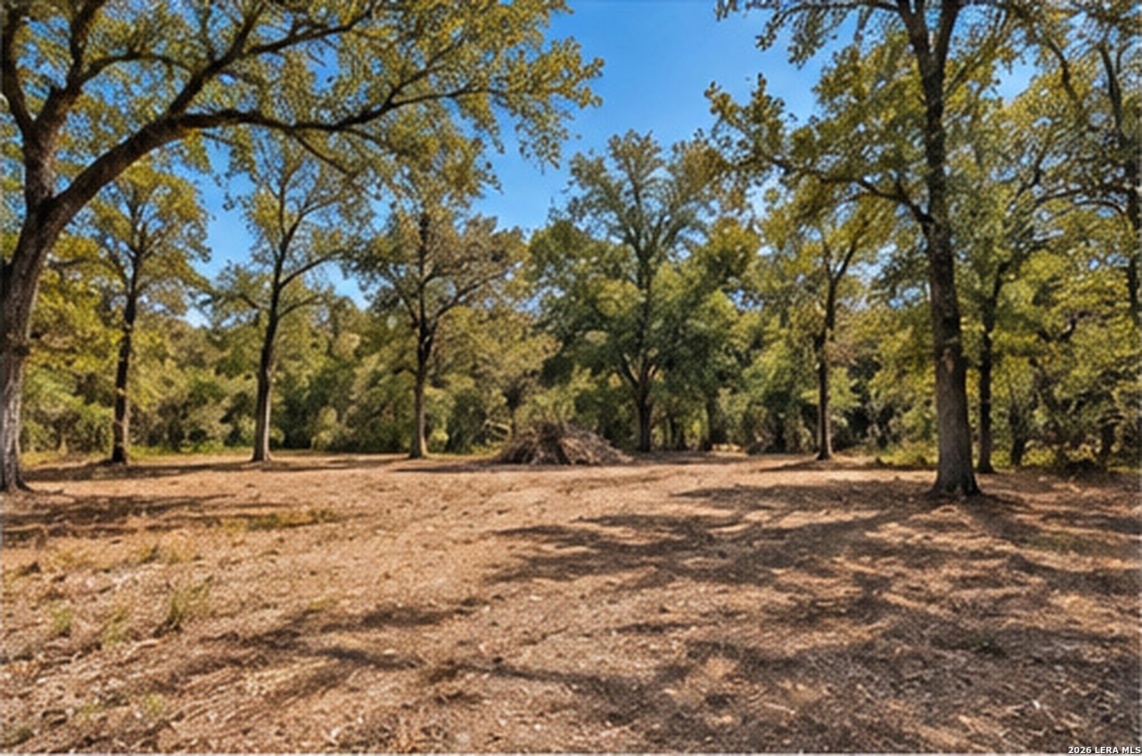 123 Oak Forest Court Cedar Creek TX 78612