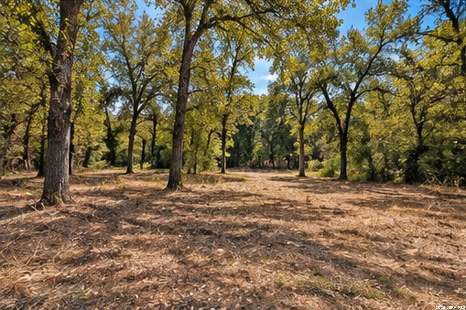 123 Oak Forest Court Cedar Creek TX 78612