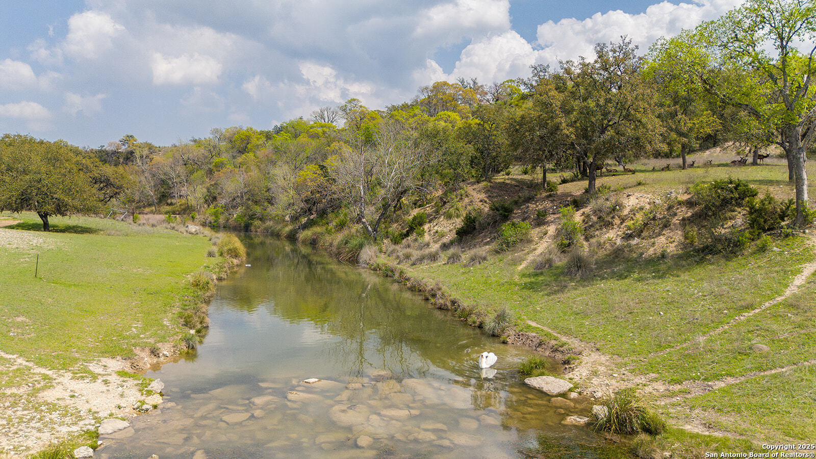 Lot 25 Ringtail Court Pipe Creek TX 78063