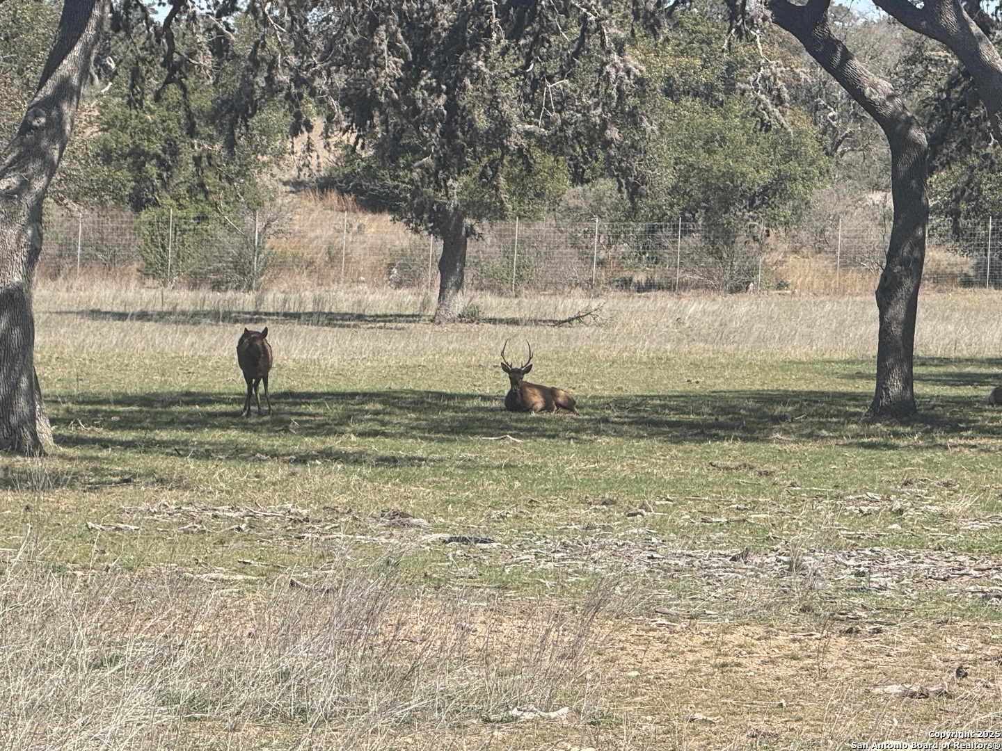 Lot 25 Ringtail Court Pipe Creek TX 78063