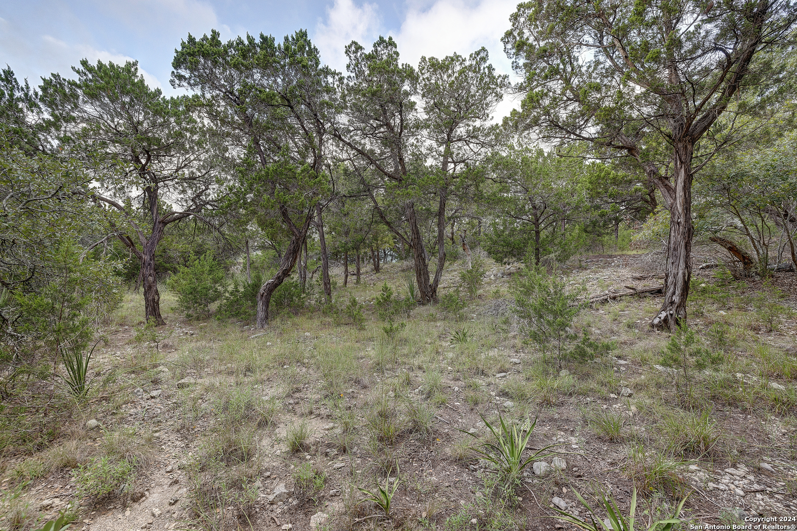 11411 Anaqua Springs Boerne TX 78006