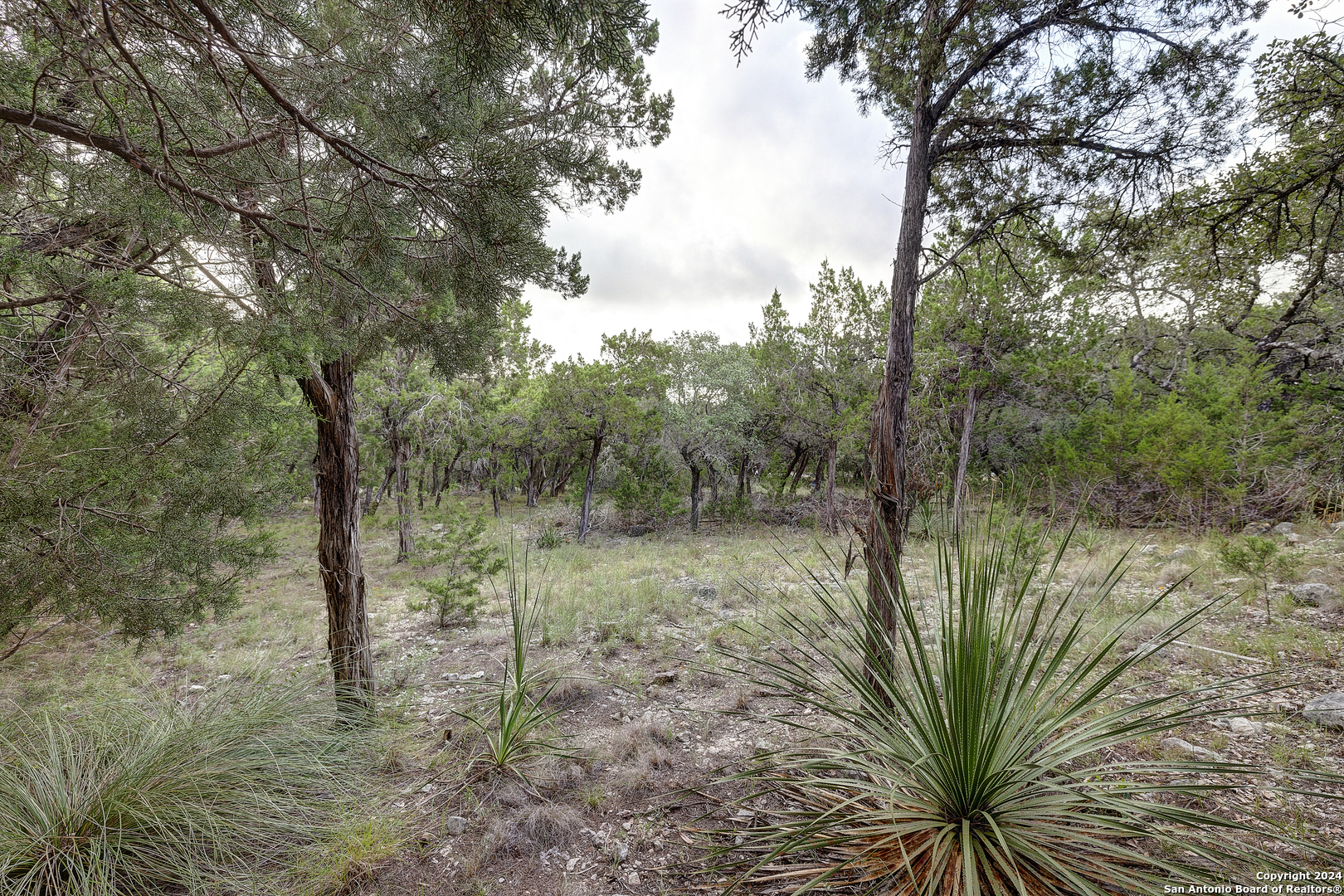 11411 Anaqua Springs Boerne TX 78006