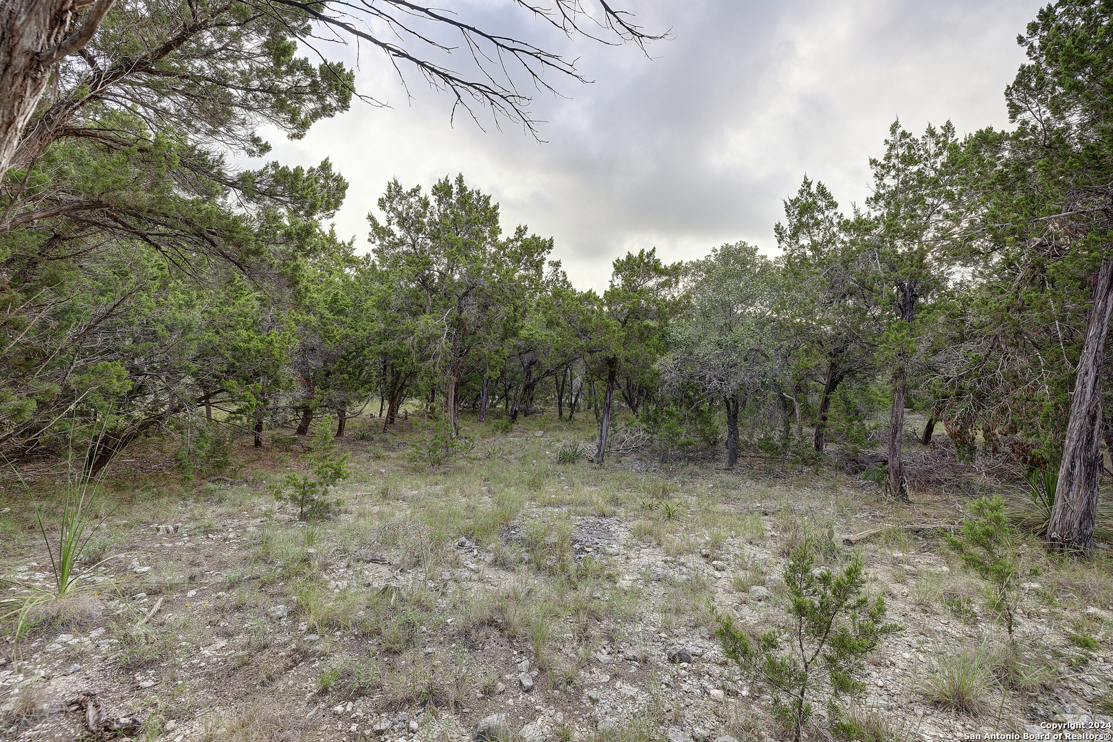 11411 Anaqua Springs Boerne TX 78006