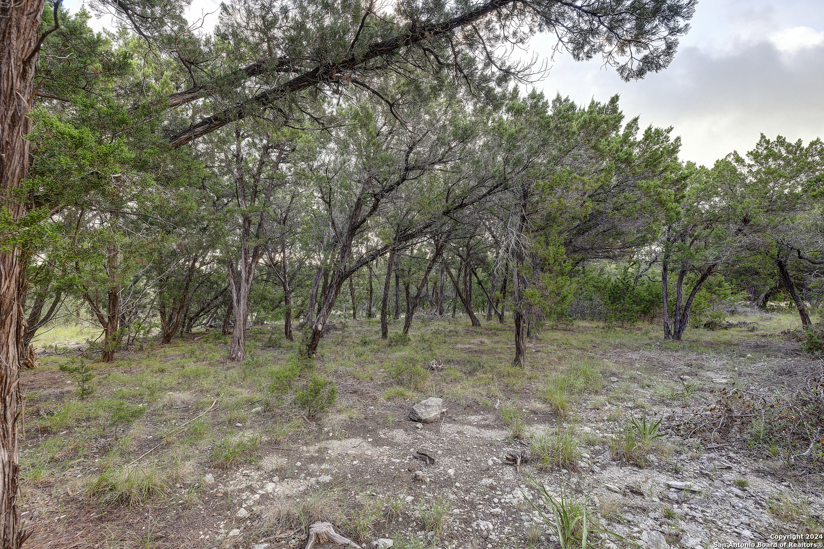 11411 Anaqua Springs Boerne TX 78006