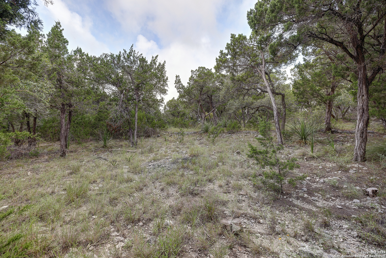 11411 Anaqua Springs Boerne TX 78006