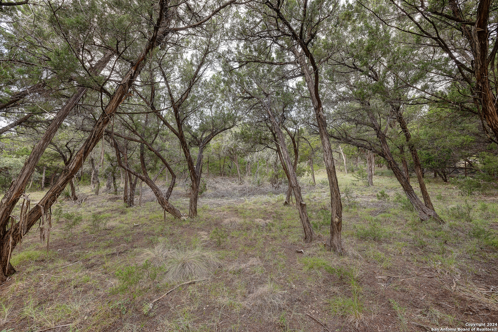 11411 Anaqua Springs Boerne TX 78006