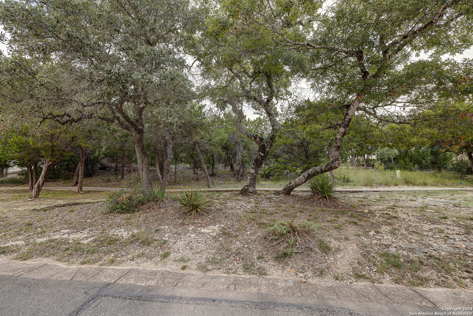 11411 Anaqua Springs Boerne TX 78006