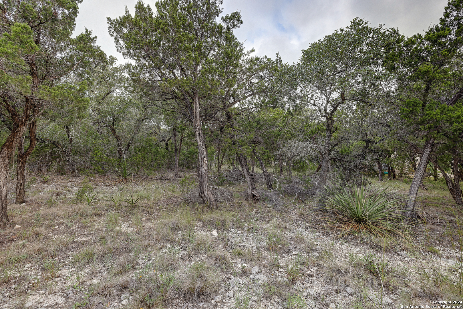 11411 Anaqua Springs Boerne TX 78006
