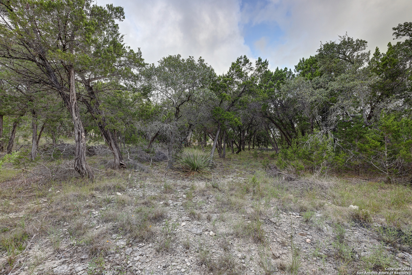 11411 Anaqua Springs Boerne TX 78006