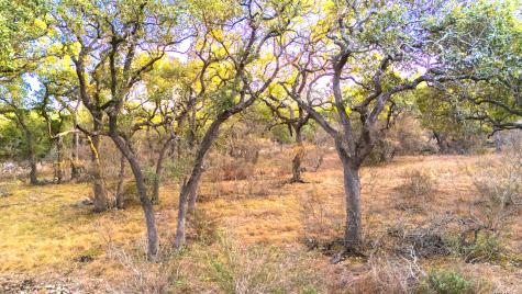 0 Rebecca Creek Road Spring Branch TX 78070