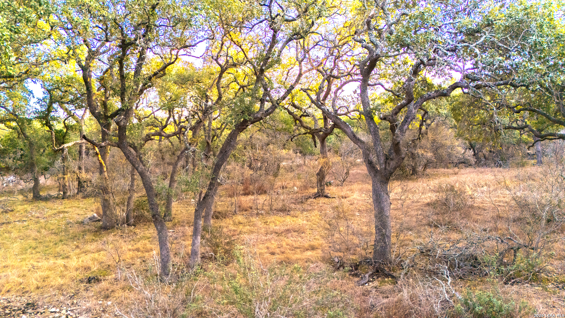 0 Rebecca Creek Road Spring Branch TX 78070