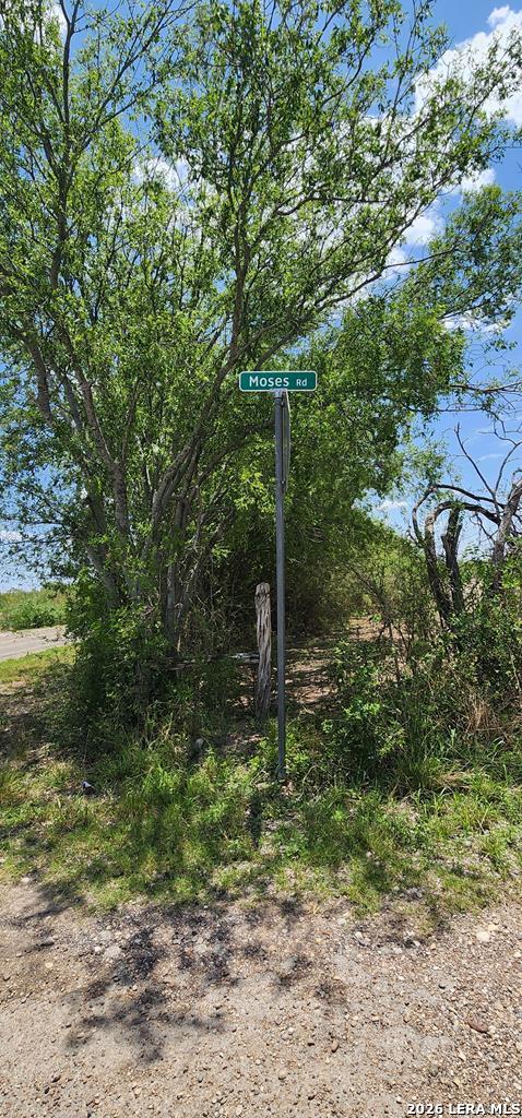 1542 Moses Road Quemado TX 78877