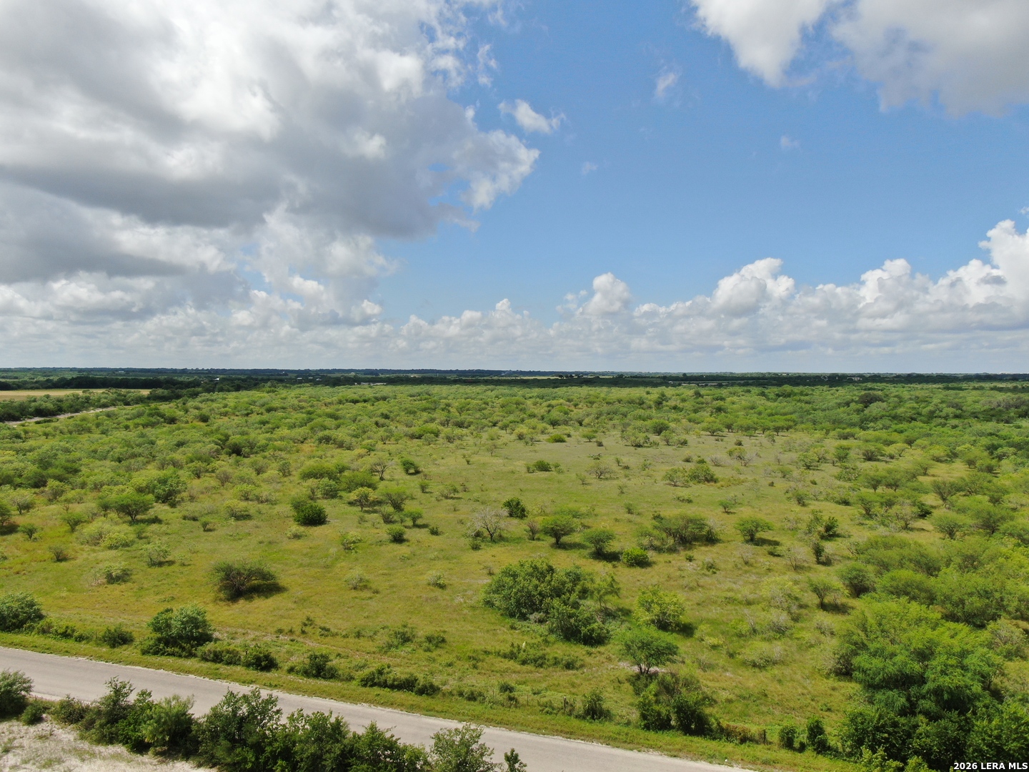 Tbd Lot 4 Cr 207 Hobson TX 78117