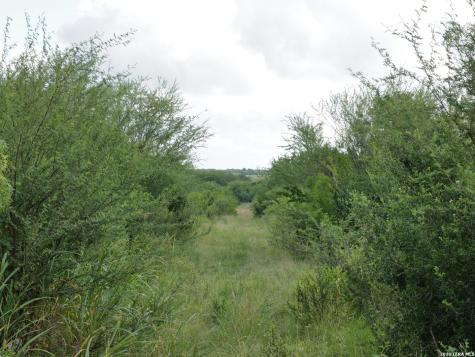 Tbd Lot 4 Cr 207 Hobson TX 78117