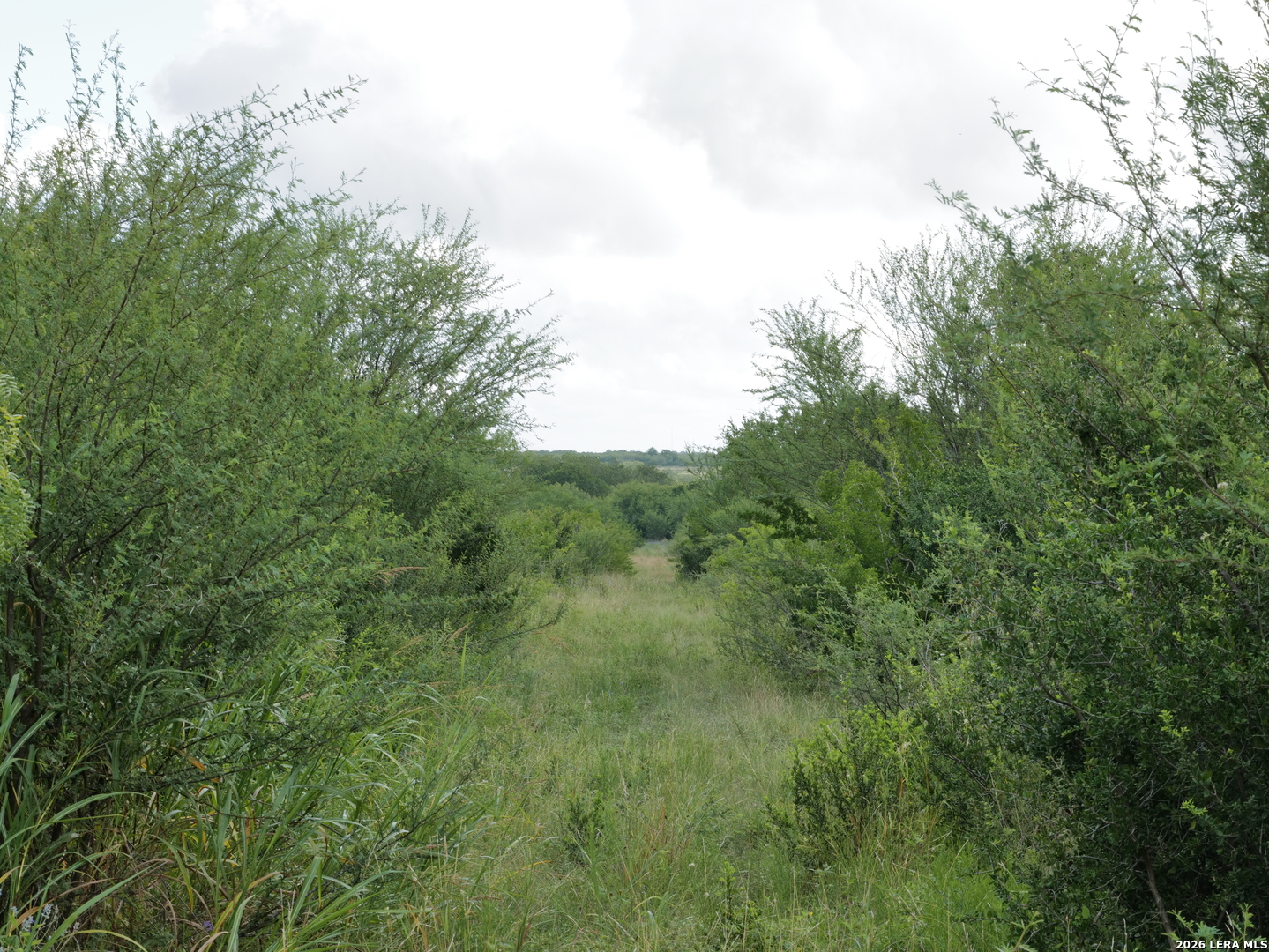 Tbd Lot 4 Cr 207 Hobson TX 78117