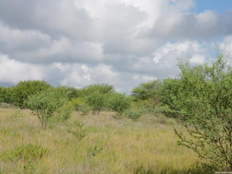 Tbd Lot 4 Cr 207 Hobson TX 78117