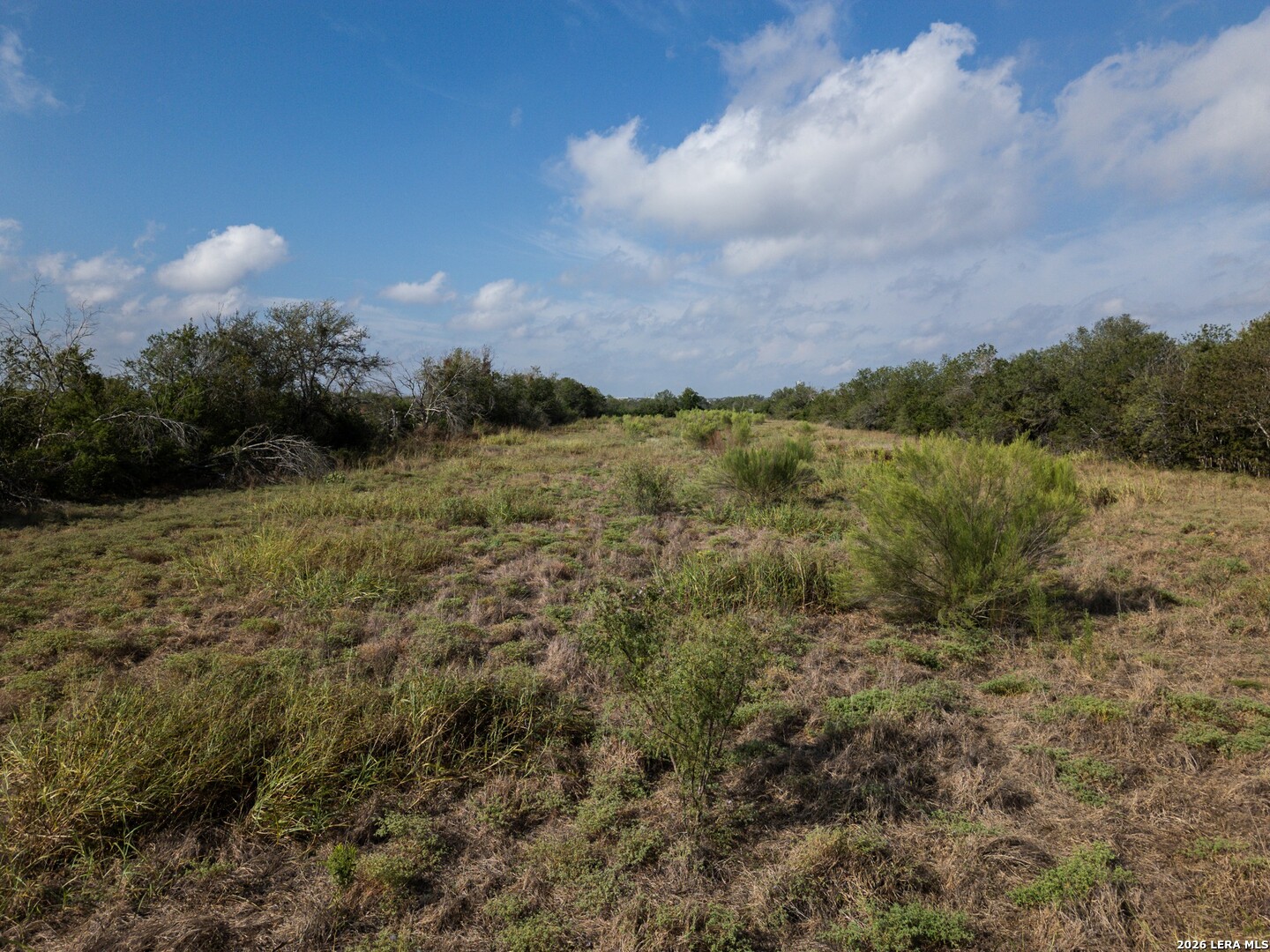 01 Concordia Lane Cibolo TX 78108