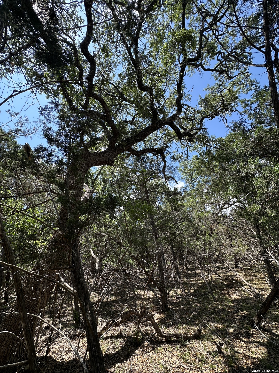 Tbd N Oak Lawn Drive Bandera TX 78003