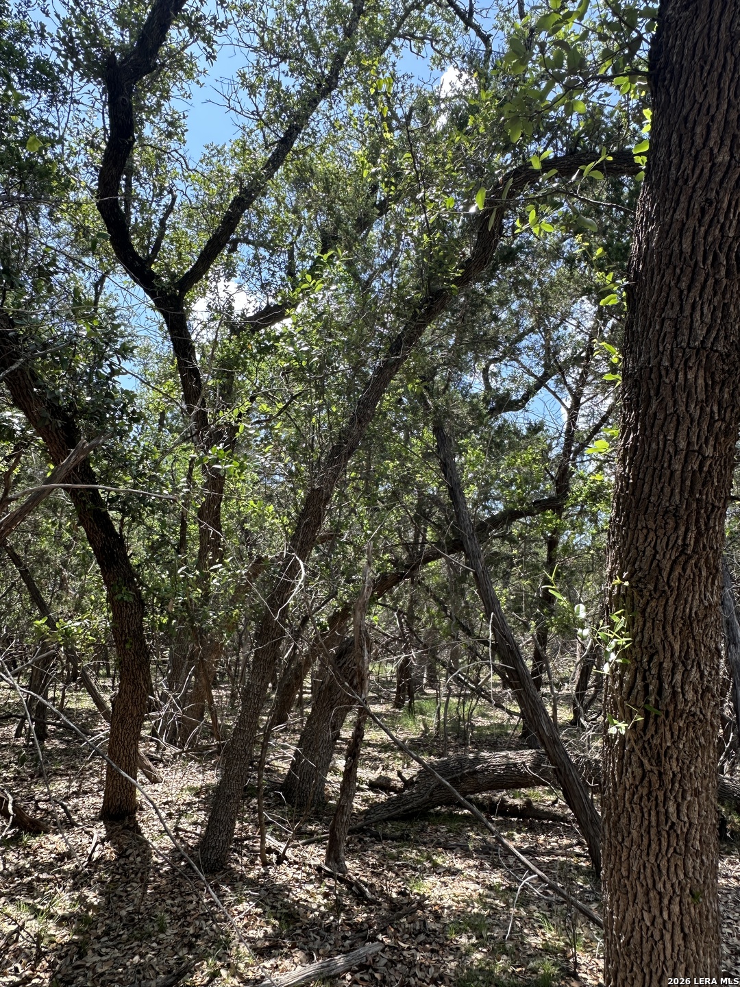 Tbd N Oak Lawn Drive Bandera TX 78003