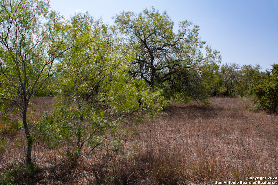 Tract 2 West King Lane Beeville TX 78142
